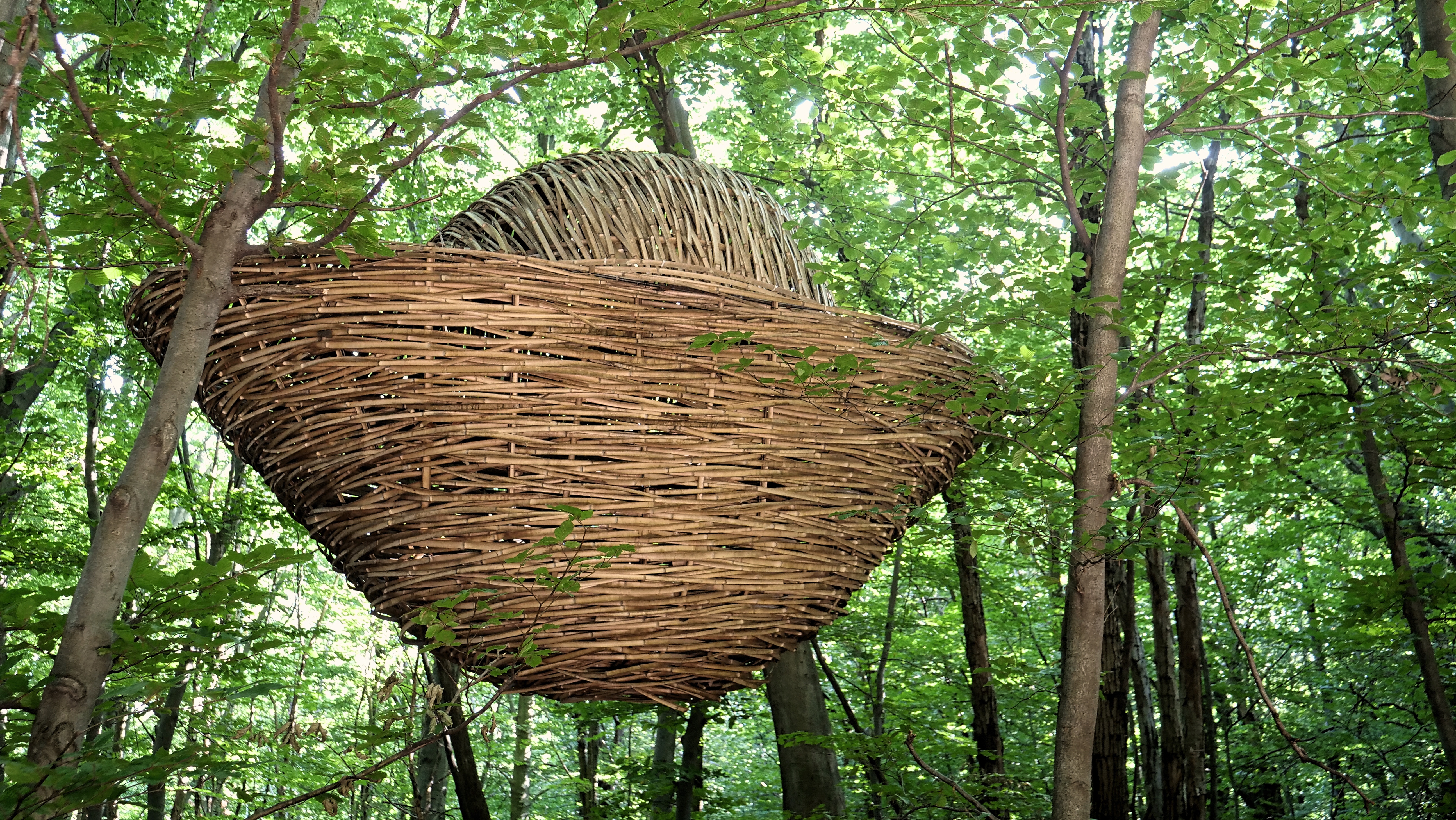 artinbosco